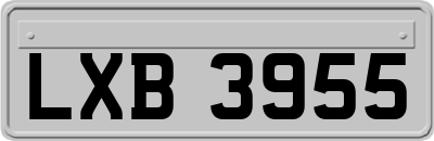LXB3955