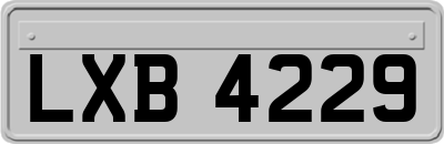 LXB4229