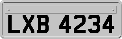 LXB4234