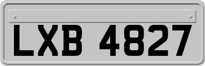 LXB4827