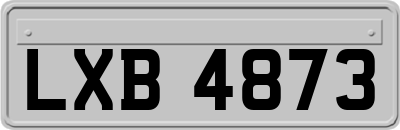 LXB4873