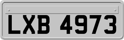 LXB4973