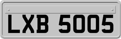 LXB5005