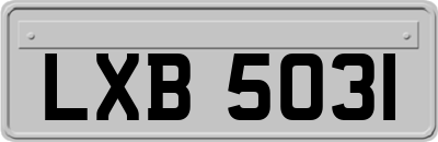 LXB5031