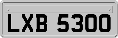 LXB5300