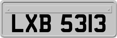 LXB5313