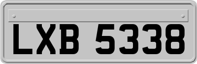 LXB5338