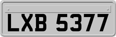LXB5377