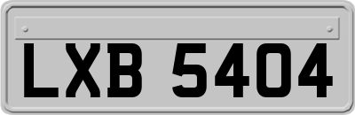 LXB5404