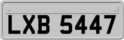 LXB5447