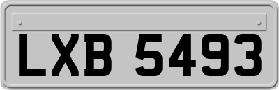 LXB5493
