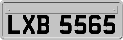 LXB5565