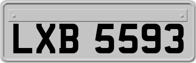 LXB5593