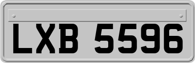 LXB5596