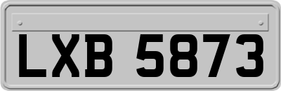 LXB5873