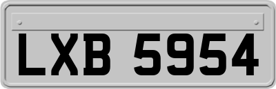 LXB5954