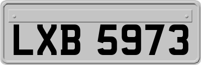 LXB5973
