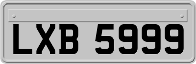 LXB5999