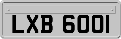 LXB6001