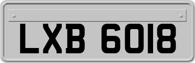 LXB6018