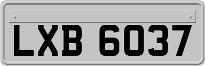 LXB6037