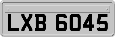 LXB6045