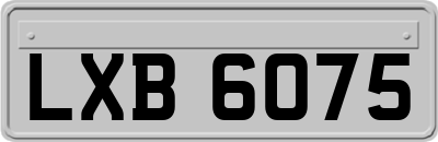 LXB6075