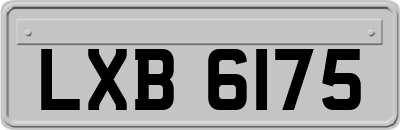 LXB6175