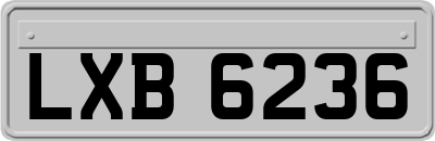LXB6236