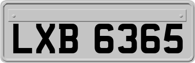 LXB6365