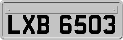 LXB6503
