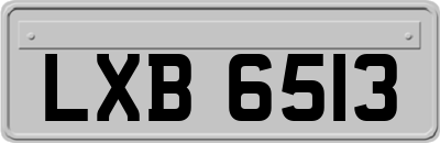 LXB6513