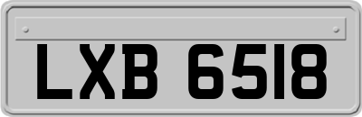 LXB6518