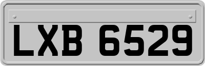 LXB6529