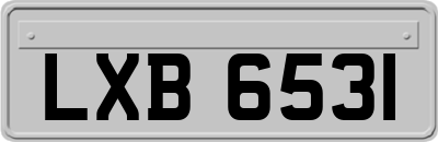 LXB6531