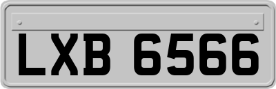 LXB6566
