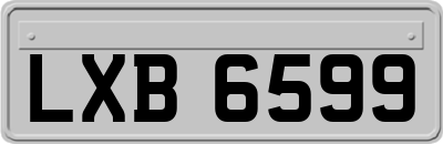 LXB6599