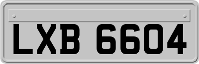 LXB6604