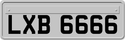 LXB6666