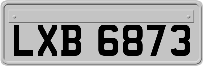 LXB6873