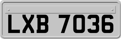 LXB7036