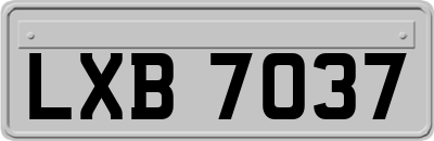LXB7037