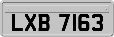 LXB7163