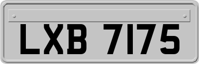 LXB7175