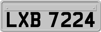 LXB7224