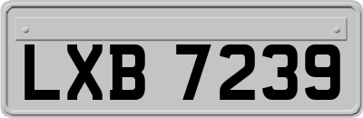 LXB7239