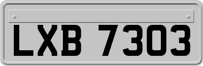 LXB7303