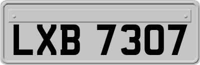 LXB7307