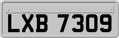 LXB7309