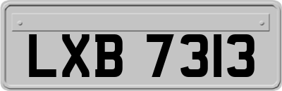 LXB7313